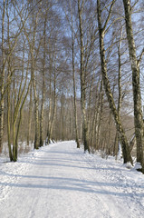 Weg im Winter