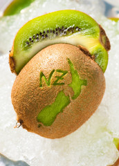New Zealand Kiwi on ice