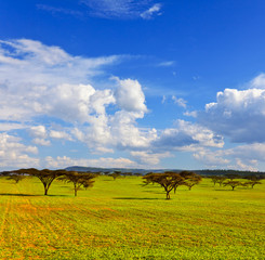Fototapeta na wymiar Afrykański krajobraz