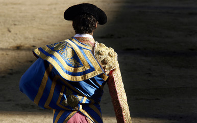toros