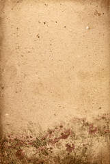 vintage flower paper background