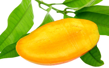 tranche de mangue 