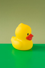 yellow rubber duck isolated on green background