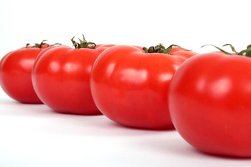 A line of red tomatoes on white background