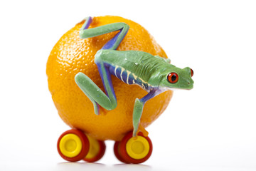 Frog on orange car