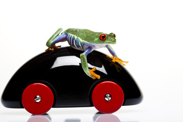Frog on wooden toy car