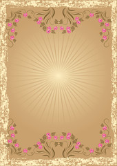 Background with meadow flowers