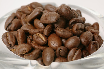 coffee beans