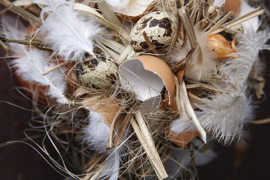 Nest Osternest