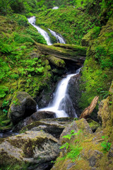 Obraz na płótnie Canvas Bunch Creek Falls
