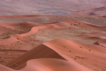 Red Dunes, Namibia