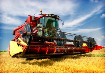 Combine working on a wheat field