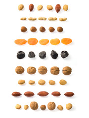 Dried fruits lines