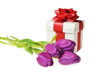 tulips and gift box
