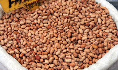 Pinto beans