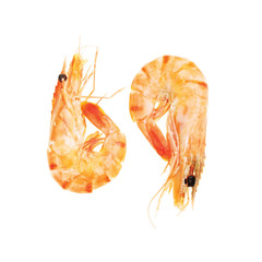 Two prawns