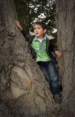 Obraz na płótnie Canvas portrait of little Pacific Islander boy siting in tree