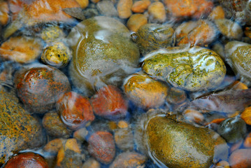 acqua 162