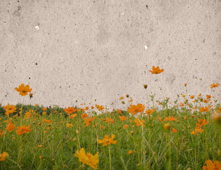 vintage flower paper background