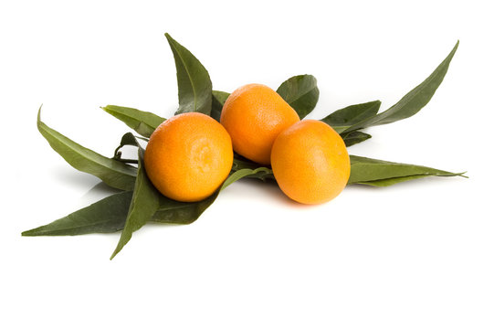 mandarines isolated