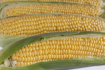 Corn On The Cob