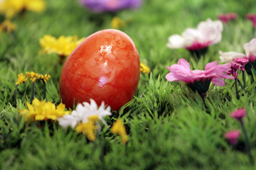 Ei auf Frühlingswiese I