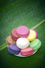 coupe de macarons des îles