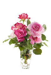 Fototapeta premium Vase of Pink Roses
