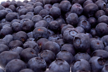 Fresh blueberries