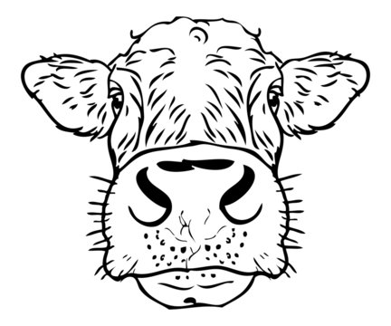 Cow face tattoo icon