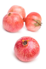Pomegranate isolated