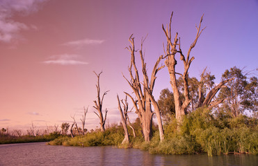 rivier murray zonsondergang