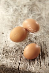fresh brown eggs