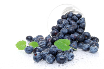 Blueberries Delight
