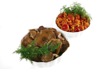 grevilles and white mushrooms