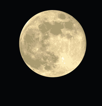 full moon, realistic vector