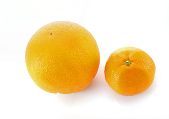 mandarine and orange  on white