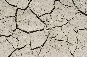 dried ground