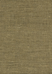 Hard, pure linen canvas, high resolution, 17.6 MB
