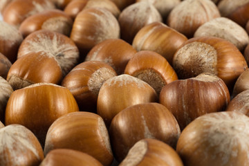 Group of hazelnuts