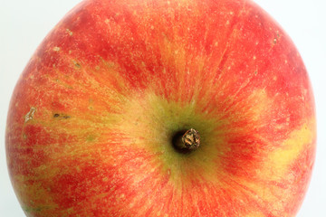Pomme Rainette bio
