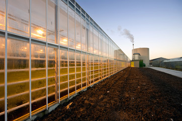 Obraz premium Glasshouse