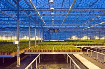 Glasshouse automation