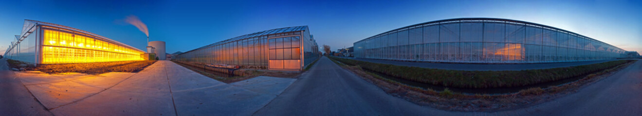 Glasshouse panorama