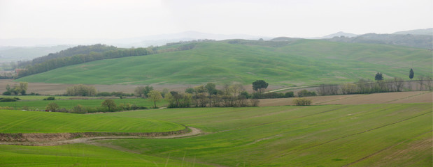 Fototapeta na wymiar Paisaje de la región Toscana. Italia