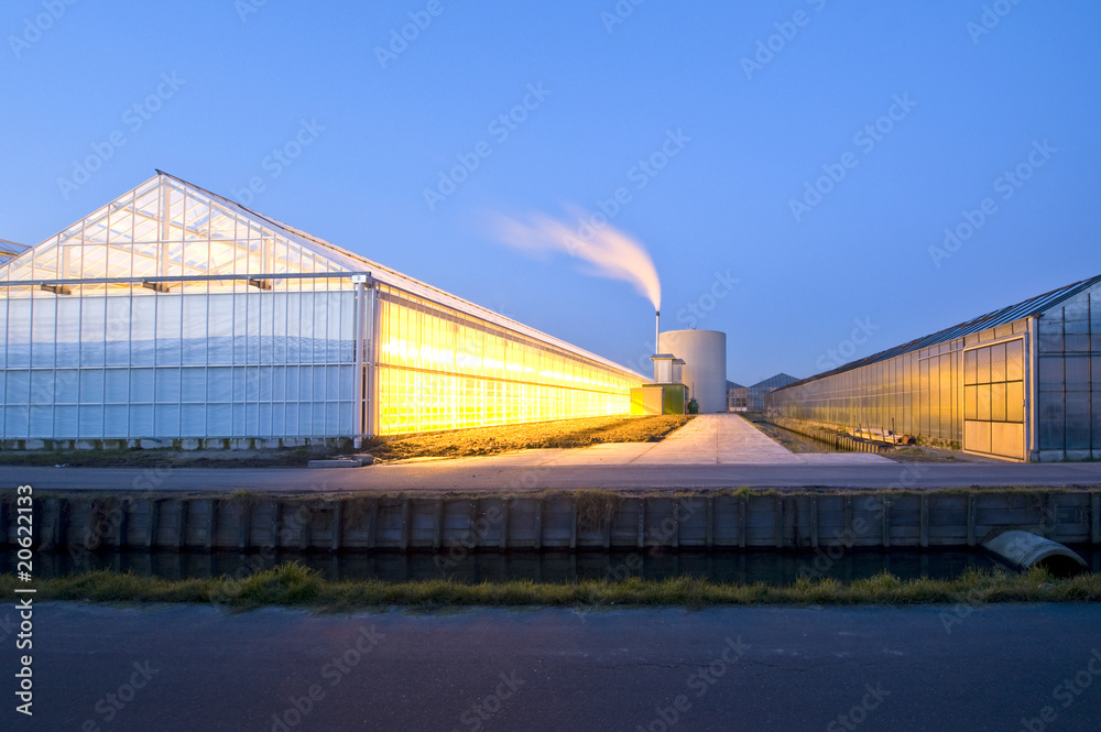 Wall mural glasshouse at dusk