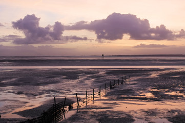 Naklejka premium Fierce sunrise