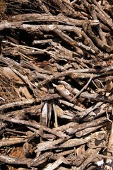 Brown dried stacked firewood pattern background