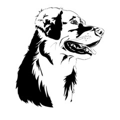 Fototapeta premium Golden Retriever - Silhouette