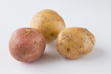Two yellow and one red potatoes isolated
